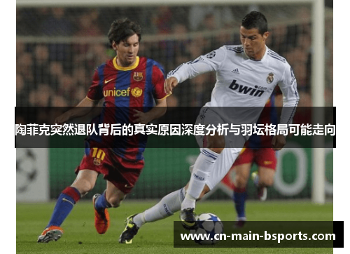 陶菲克突然退队背后的真实原因深度分析与羽坛格局可能走向