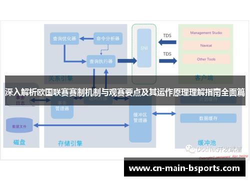 深入解析欧国联赛赛制机制与观赛要点及其运作原理理解指南全面篇